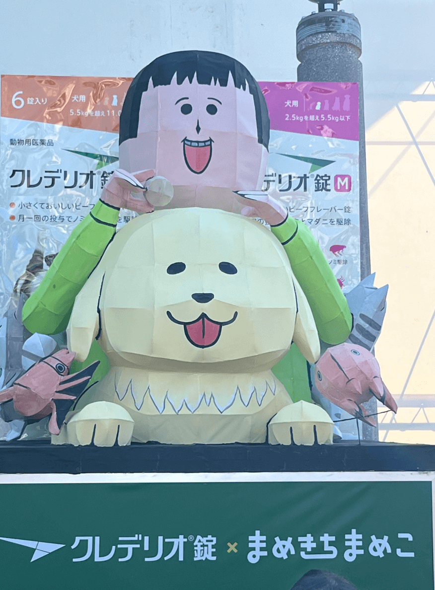 まめきちまめこの卒アル騒動の全貌｜素顔説や大学写真の誤解を詳しく解説