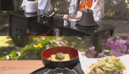 やまと尼寺潤子さんの現在と音羽山の暮らし2026年最新まとめ