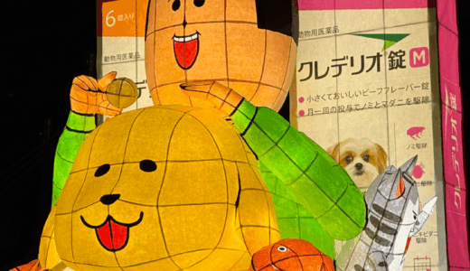 まめきちまめこの卒アルと素顔美人説や身バレ噂を徹底検証まとめ