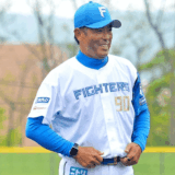 稲葉篤紀の嫁の画像はある？渡部怜奈の若い頃と現在を整理して解説