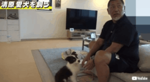 清原和博の現在の住まいは世田谷？収入や私生活の変化を総まとめ完全