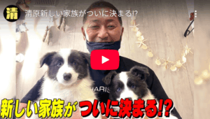 清原和博の現在の住まいは世田谷？収入や私生活の変化を総まとめ完全