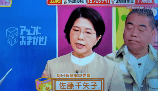 佐藤千矢子に結婚相手が出ない理由と仕事優先の生き方を詳細に解説