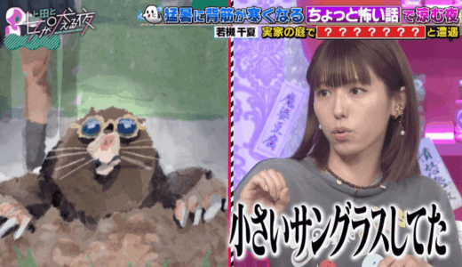 若槻千夏の旦那の写真はある？中田英寿似説と目撃談を最新検証