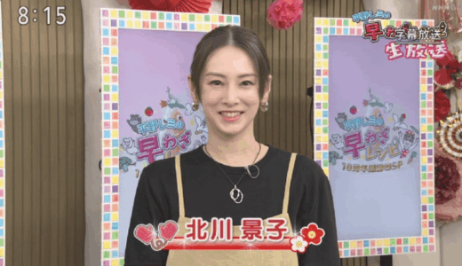 北川景子の父の学歴は慶應卒。大学院までの経歴や年収・実家の噂を整理