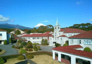 佐藤ゆかりの若い頃の素顔とは。学歴・結婚・海外生活や人物像を解説