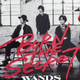 wandsボーカルの死亡説は本当？歴代ボーカルと現在の活動を徹底解説