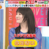 北乃きいの韓国説の噂の真相は？日本人説と誤解の理由を徹底解説