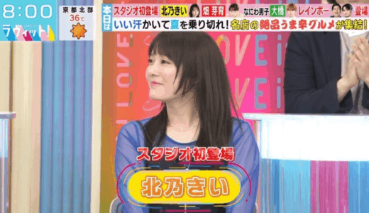 北乃きいの韓国説の噂の真相は？日本人説と誤解の理由を徹底解説