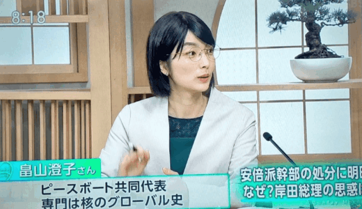 畠山澄子の夫の存在は本当か？結婚観や独身説をわかりやすく解説