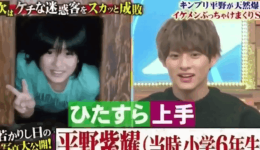 平野紫耀の実家の豪邸の場所や外観と家族背景を徹底解説する