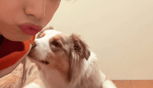 宮世琉弥のハーフ説の真相とは？家族や本名までを徹底解説する